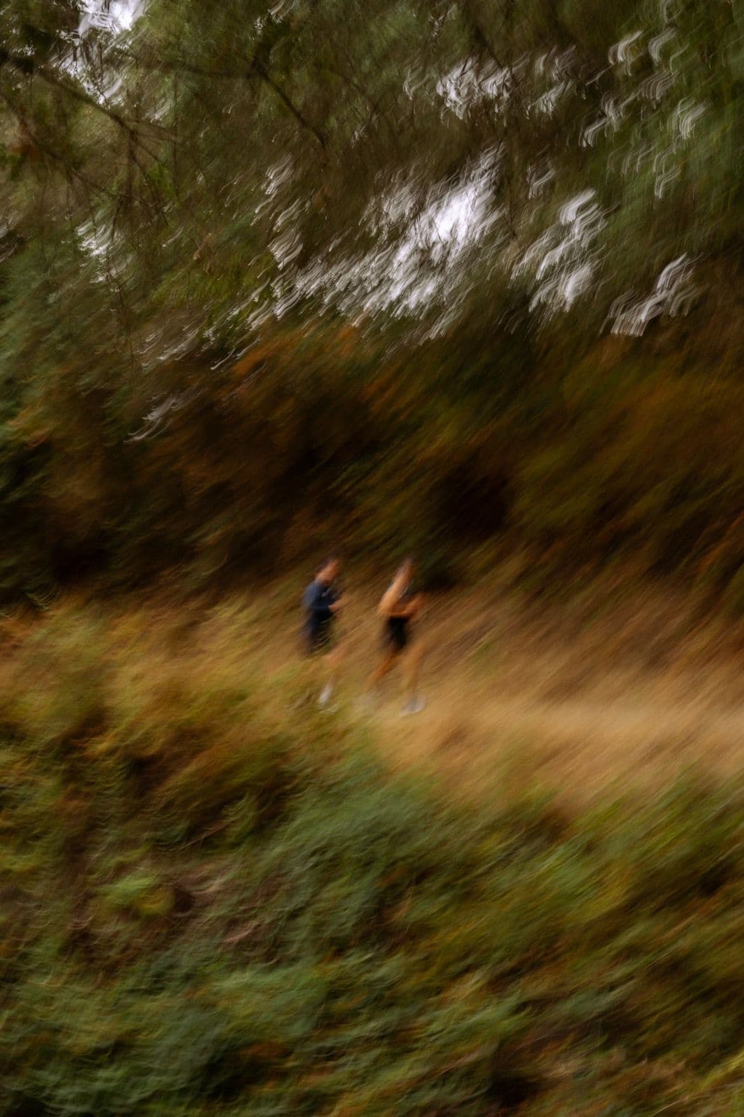 Iron Horse Run Club first trail run cover photo