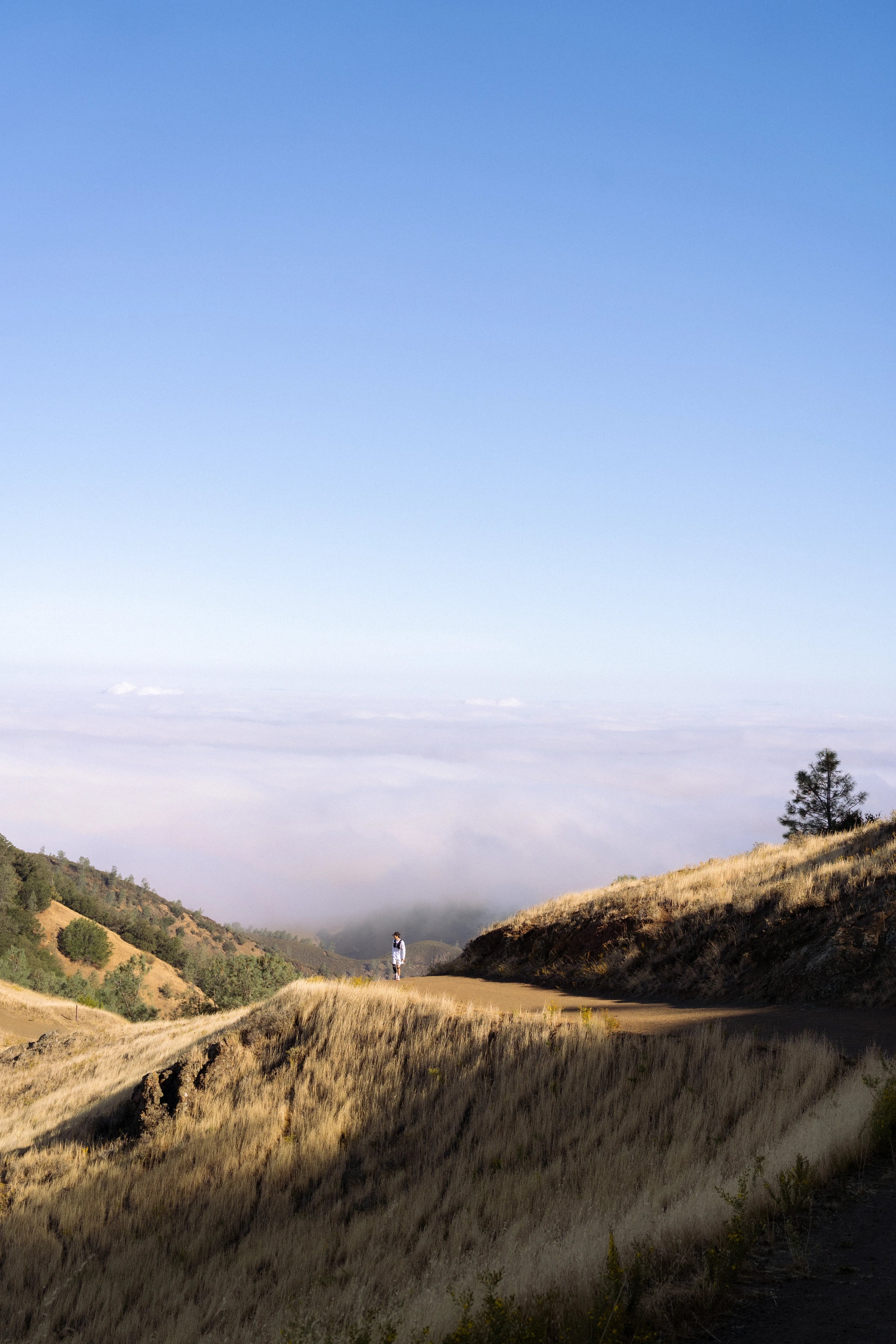 A runner standing on a golden hillside trail above a fog-filled mountain valley